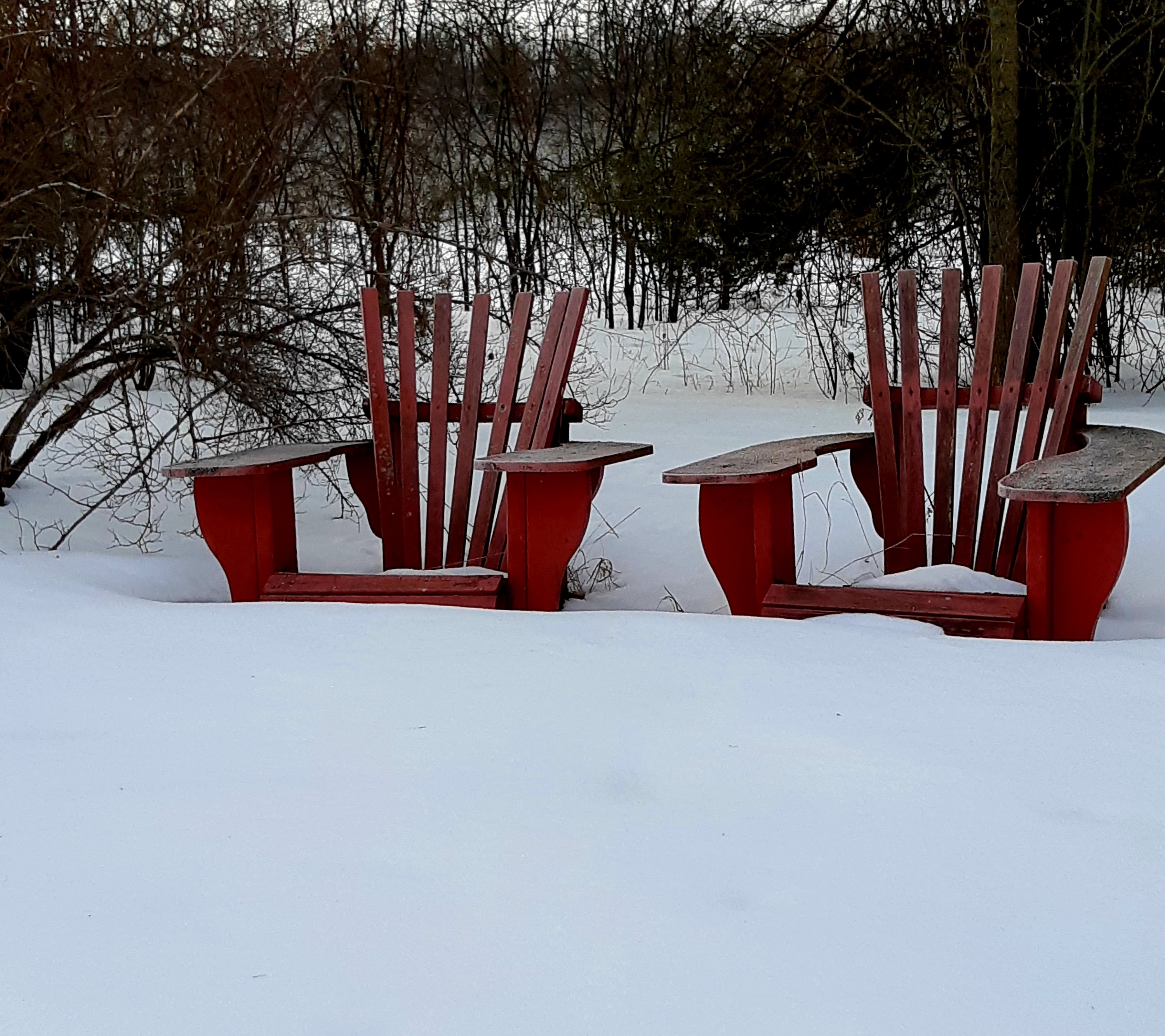 Picture of red Muskoka chairs in the snow